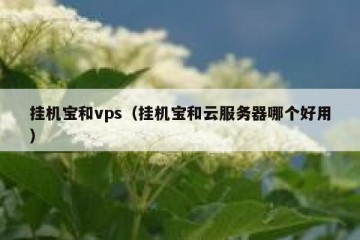 挂机宝和vps（挂机宝和云服务器哪个好用）