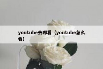 youtube去哪看（youtube怎么看）