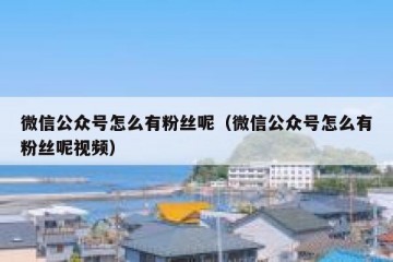 微信公众号怎么有粉丝呢（微信公众号怎么有粉丝呢视频）