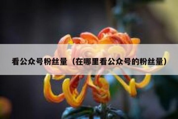 看公众号粉丝量（在哪里看公众号的粉丝量）