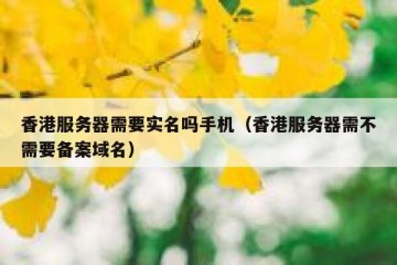 香港服务器需要实名吗手机（香港服务器需不需要备案域名）
