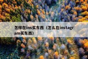 怎样在ins买东西（怎么在instagram买东西）