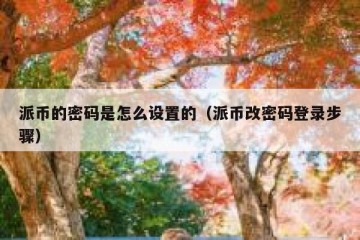 派币的密码是怎么设置的（派币改密码登录步骤）