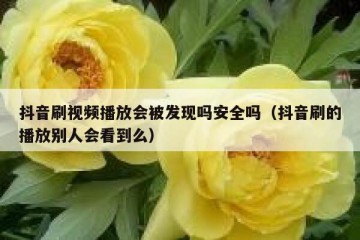抖音刷视频播放会被发现吗安全吗（抖音刷的播放别人会看到么）