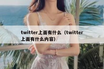 twitter上面有什么（twitter上面有什么内容）