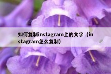 如何复制instagram上的文字（instagram怎么复制）