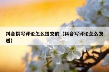 抖音撰写评论怎么提交的（抖音写评论怎么发送）