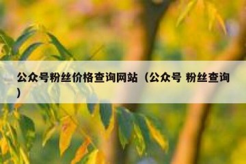 公众号粉丝价格查询网站（公众号 粉丝查询）