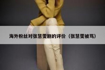 海外粉丝对张慧雯剧的评价（张慧雯被骂）