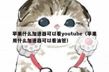 苹果什么加速器可以看youtube（苹果用什么加速器可以看油管）