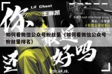 如何看微信公众号粉丝量（如何看微信公众号粉丝量排名）