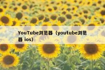 YouTube浏览器（youtube浏览器 ios）