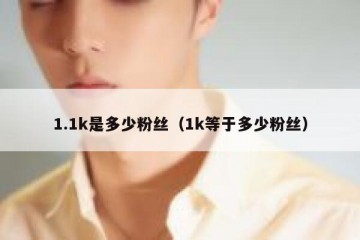 1.1k是多少粉丝（1k等于多少粉丝）
