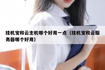 挂机宝和云主机哪个好用一点（挂机宝和云服务器哪个好用）
