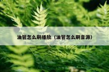 油管怎么刷播放（油管怎么刷音源）