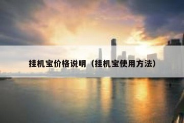 挂机宝价格说明（挂机宝使用方法）
