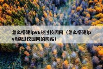 怎么搭建ipv6绕过校园网（怎么搭建ipv6绕过校园网的网站）