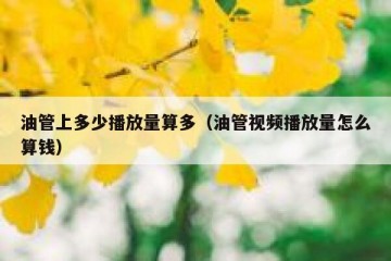 油管上多少播放量算多（油管视频播放量怎么算钱）