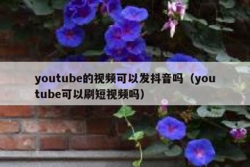 youtube的视频可以发抖音吗（youtube可以刷短视频吗）