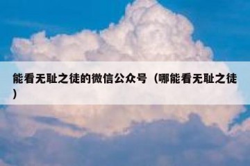 能看无耻之徒的微信公众号（哪能看无耻之徒）