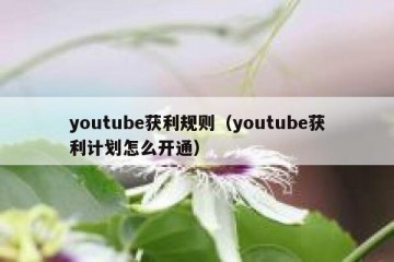 youtube获利规则（youtube获利计划怎么开通）