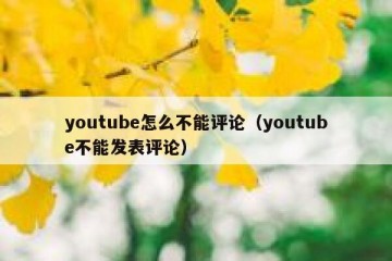 youtube怎么不能评论（youtube不能发表评论）