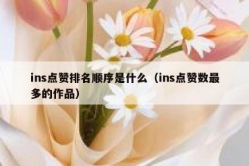 ins点赞排名顺序是什么（ins点赞数最多的作品）