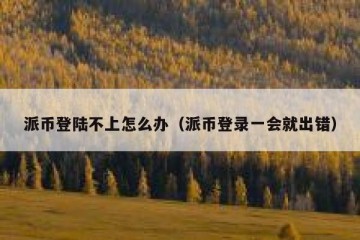 派币登陆不上怎么办（派币登录一会就出错）
