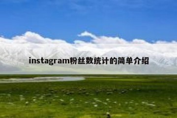 instagram粉丝数统计的简单介绍