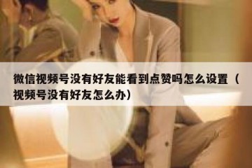 微信视频号没有好友能看到点赞吗怎么设置（视频号没有好友怎么办）