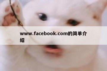www.facebook.com的简单介绍