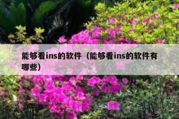 能够看ins的软件（能够看ins的软件有哪些）