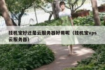 挂机宝好还是云服务器好用呢（挂机宝vps云服务器）