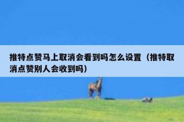 推特点赞马上取消会看到吗怎么设置（推特取消点赞别人会收到吗）