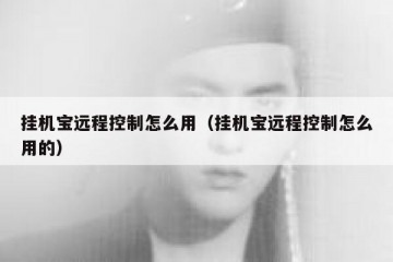 挂机宝远程控制怎么用（挂机宝远程控制怎么用的）