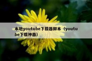 本地youtube下载器脚本（youtube下载神器）