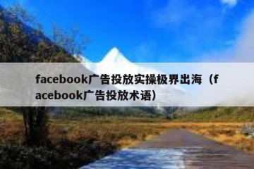 facebook广告投放实操极界出海（facebook广告投放术语）