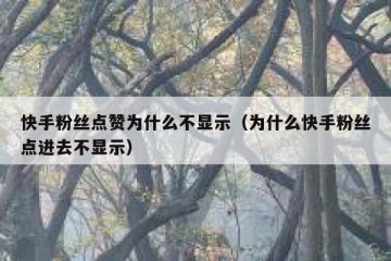快手粉丝点赞为什么不显示（为什么快手粉丝点进去不显示）