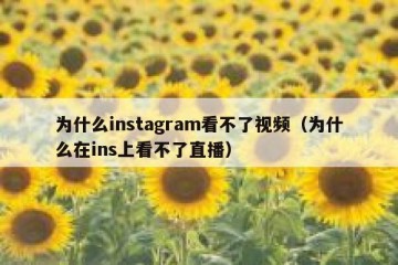 为什么instagram看不了视频（为什么在ins上看不了直播）