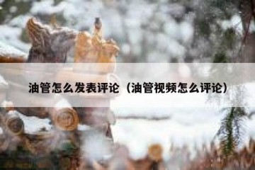 油管怎么发表评论（油管视频怎么评论）
