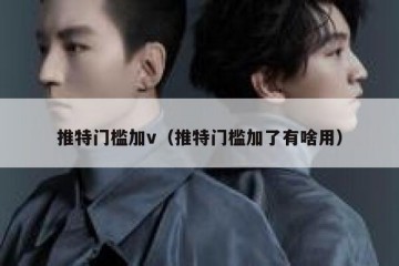 推特门槛加v（推特门槛加了有啥用）