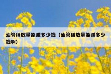油管播放量能赚多少钱（油管播放量能赚多少钱啊）