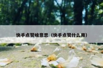 快手点赞啥意思（快手点赞什么用）