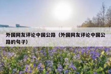 外国网友评论中国公路（外国网友评论中国公路的句子）