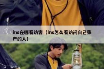 ins在哪看访客（ins怎么看访问自己账户的人）