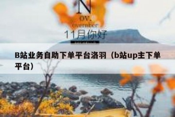 B站业务自助下单平台洛羽（b站up主下单平台）