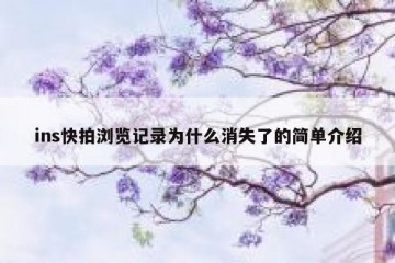 ins快拍浏览记录为什么消失了的简单介绍