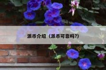 派币介绍（派币可靠吗?）