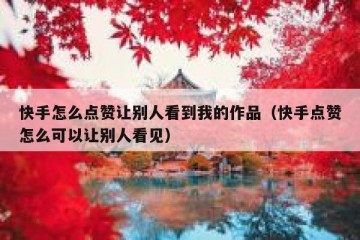 快手怎么点赞让别人看到我的作品（快手点赞怎么可以让别人看见）