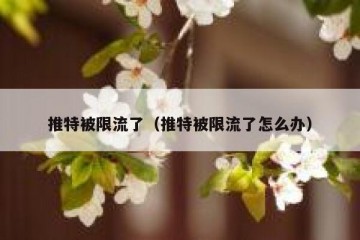 推特被限流了（推特被限流了怎么办）